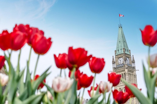 Ottawa Festival des tulipes 1 jour 