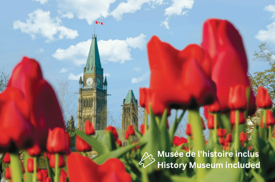 Ottawa Festival des tulipes 1 jour 