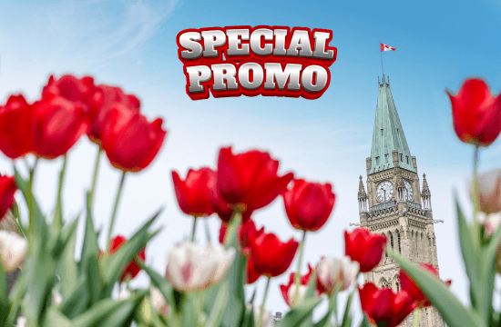 Ottawa Festival des tulipes 1 jour 