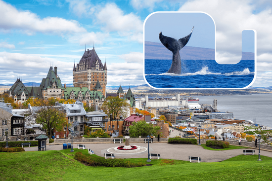 魁北克城&夏洛瓦观鲸3日游